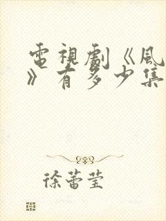 电视剧《风与潮》有多少集