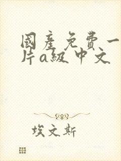 国产免费一级淫片a级中文