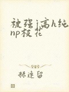 被强j高h纯肉np校花