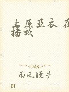 上原亚衣 在线播放