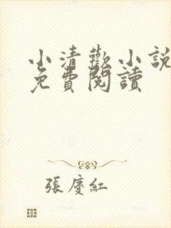 小清欢小说全文免费阅读封面