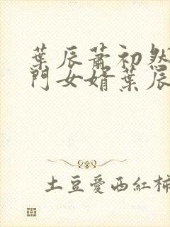 叶辰萧初然 上门女婿叶辰