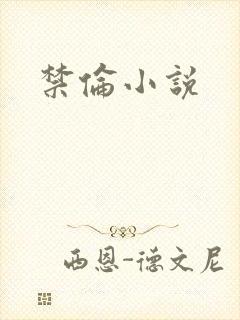 禁伦小说