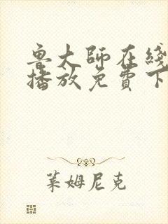 鲁大师在线视频播放免费下载电视剧