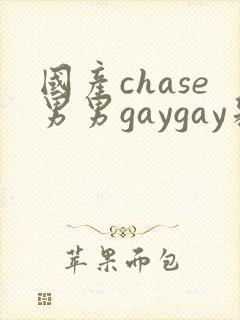 国产chase男男gaygay彩虹