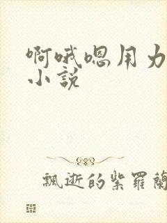 啊哦嗯用力辣文小说