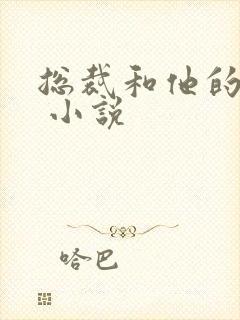 总裁和他的秘书 小说