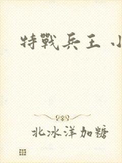 特战兵王 小说