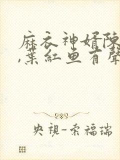 麻衣神婿陈黄皮,叶红鱼有声小说
