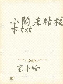 小阁老精校版全本txt