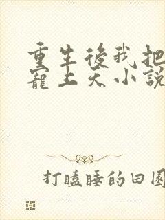 重生后我把丈夫宠上天小说