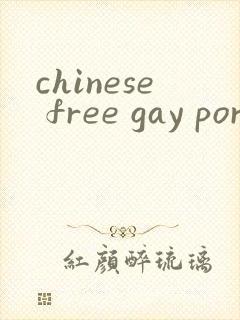 chinese free gay porn