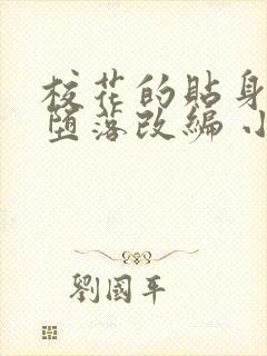 校花的贴身高手堕落改编 小说