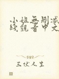 小姐无删减版在线观看中文歌词