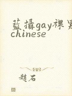 蓝摄gay裸男chinese封面