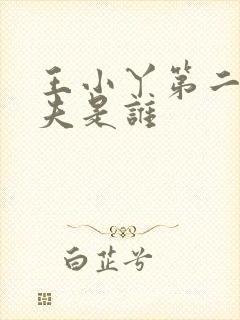 王小丫第二任丈夫是谁