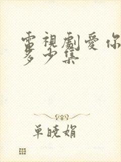 电视剧爱你一共多少集