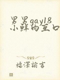 男男gay18小鲜肉互口封面