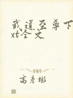 武道至尊下载txt全文