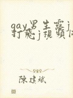 gay男生露j打飞j视频网站