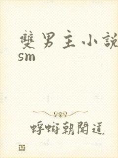 双男主小说调教sm