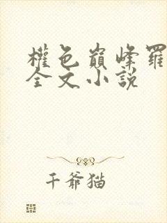 权色巅峰罗泽凯全文小说