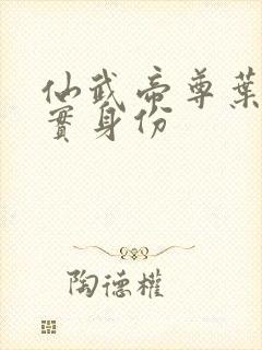 仙武帝尊叶辰真实身份