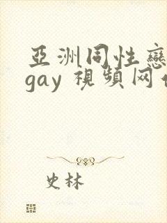 亚洲同性恋男 gay 视频网站
