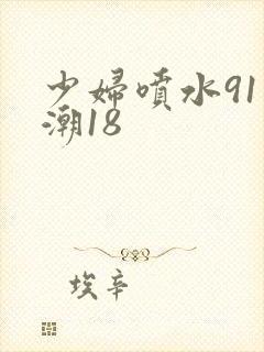 少妇喷水91高潮18