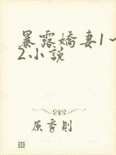 暴露娇妻1~12小说