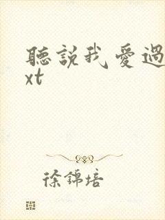 听说我爱过你txt封面