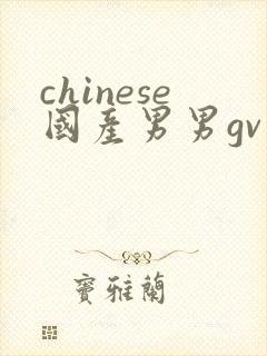 chinese国产男男gv