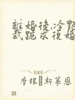 离婚后,冷艳总裁跪求复婚全文