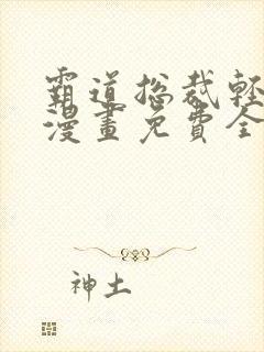 霸道总裁轻轻爱漫画免费全集下拉式
