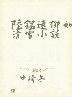 陆铭远柳如烟沈清雪小说