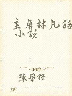 主角林凡的小说 小说