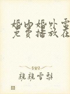 婚内婚外电视剧免费播放在线观看