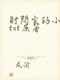 财阀家的小儿子txt原著