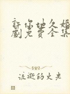 许你地久婚长短剧免费全集封面