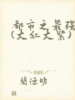 都市之最强狂兵(大红大紫)