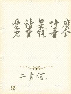 爱情是什么韩剧免费观看全集中文封面