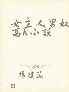 女主人男奴调教高h小说