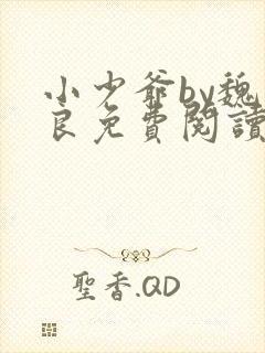 小少爷by魏丛良免费阅读全文封面