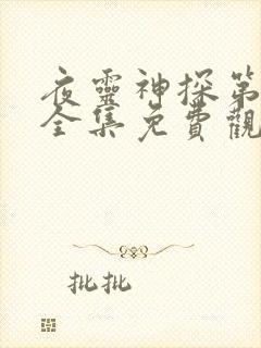夜灵神探第一季全集免费观看高清