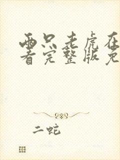 两只老虎在线观看完整版免费高清
