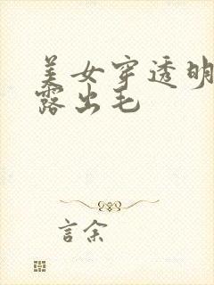 美女穿透明内裤露出毛