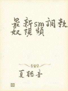 最新sm调教男奴视频