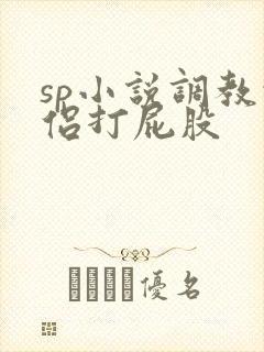 sp小说调教情侣打屁股封面