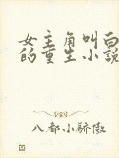 女主角叫白卿言的重生小说