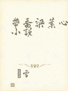 带乔梁叶心仪的小说